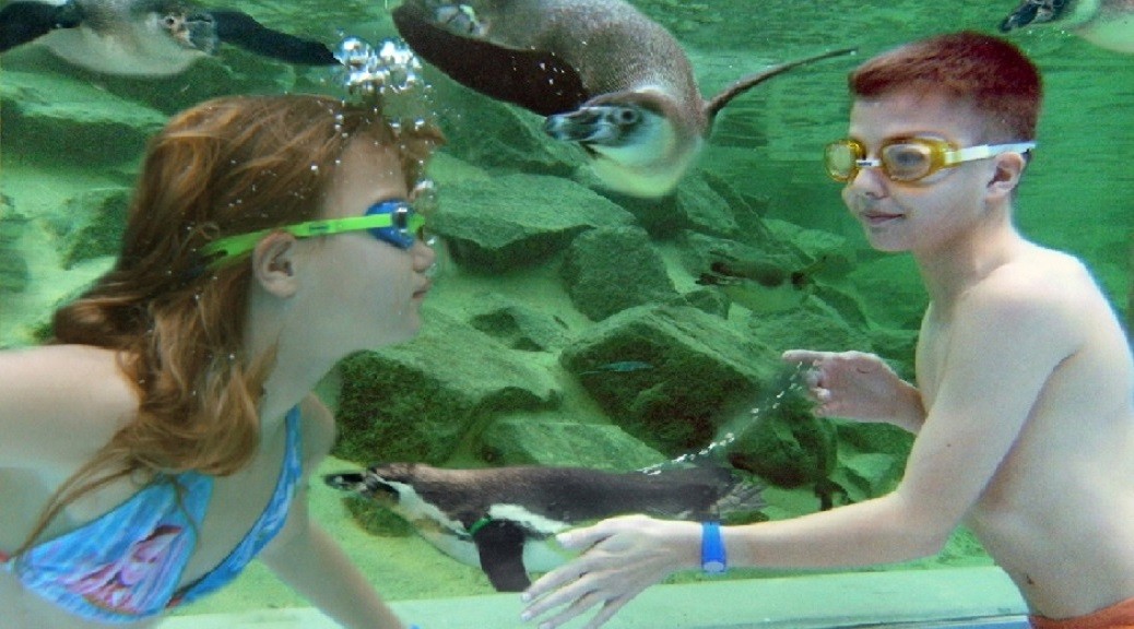 Spreeweltenbad Lübbenau
